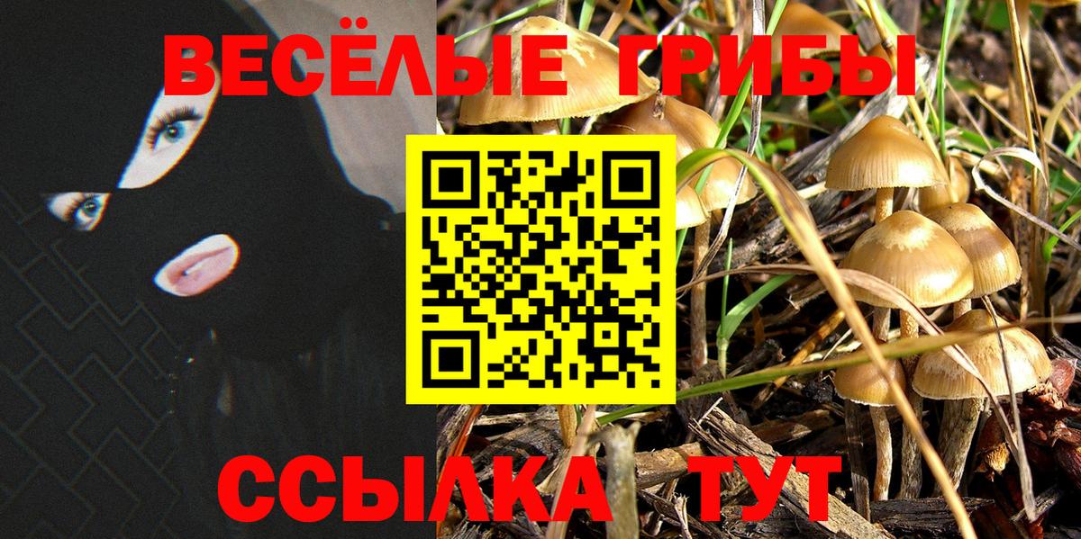 Псилоцибиновые грибы Psilocybine cubensis  Вход с VPN  Черногорск  Галлюциногенные грибы мицелий 